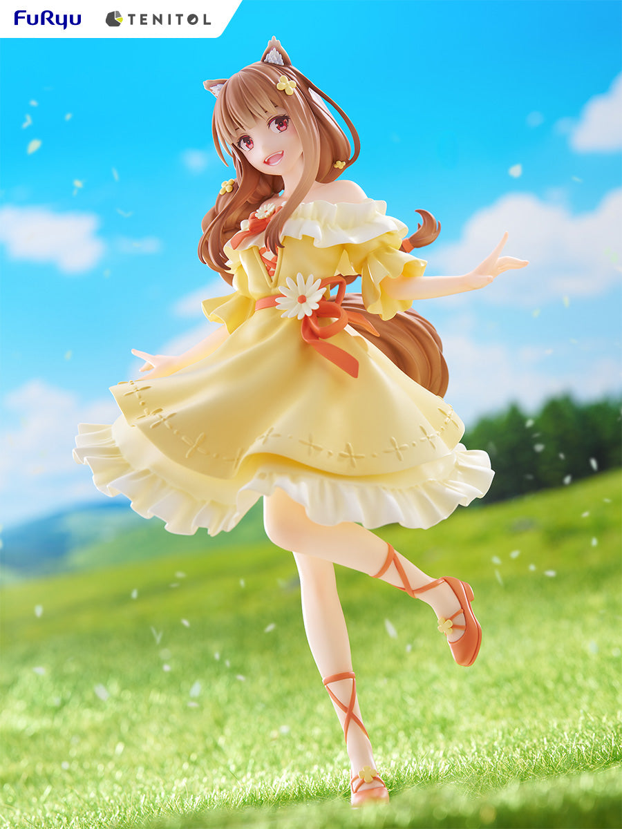 Spice and Wolf Series - TENITOL Holo Figure