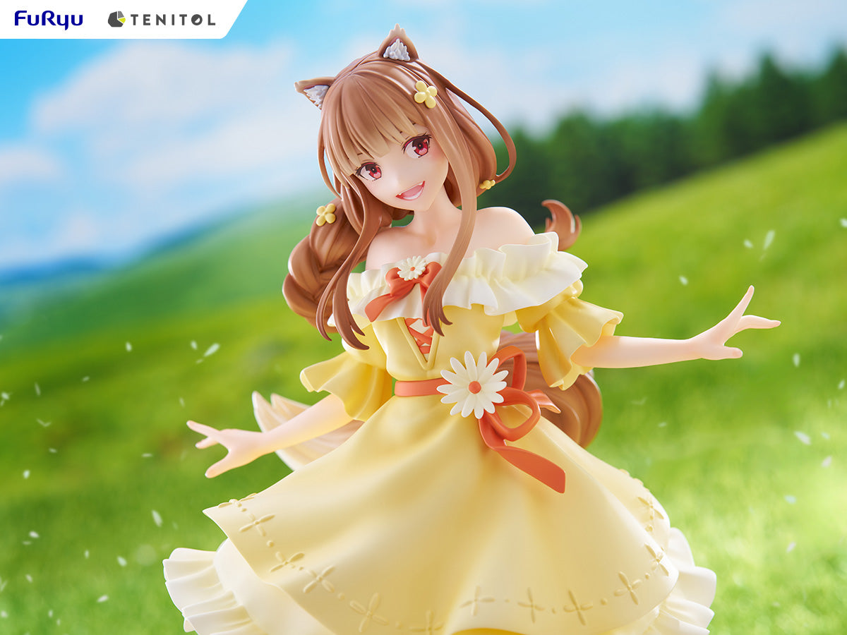 Spice and Wolf Series - TENITOL Holo Figure