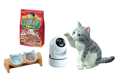 Petit Sample - Life with cats