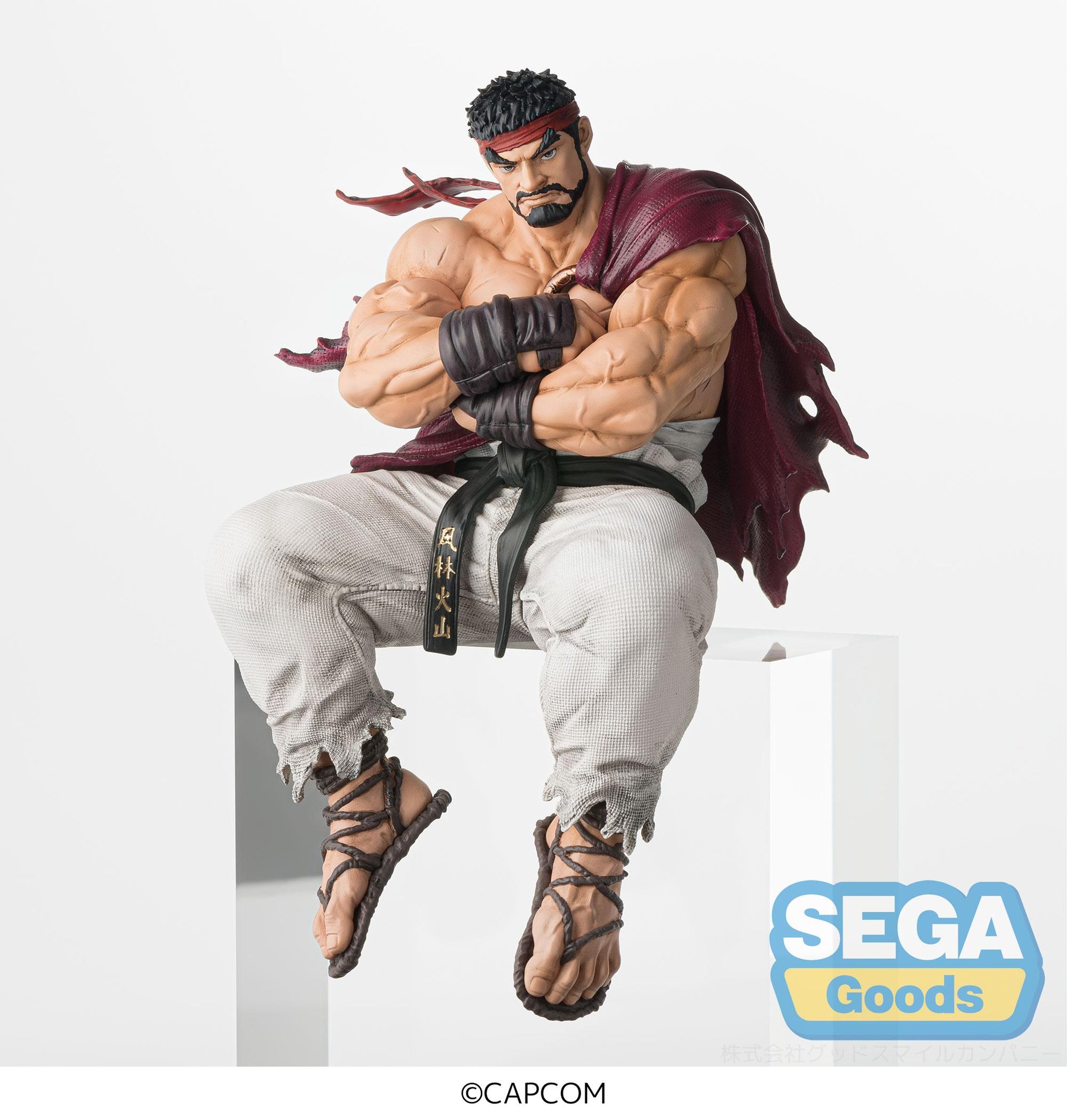 Street Fighter 6-PM Perching Figure "Ryu" Figure