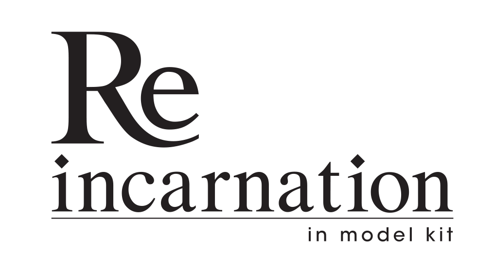 Reincarnation